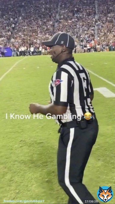 Refs at the vikes game
