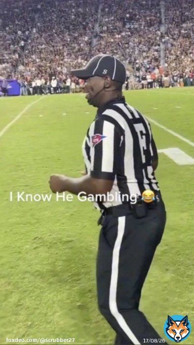 Refs at the vikes game