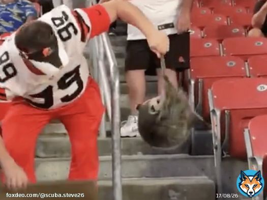 The Cleveland #Browns are 2-0 when wild animals are in First Energy Stadium