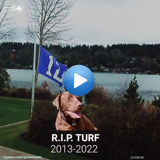 R.I.P @Turfthedog  2013-2022 0:49918.3K views