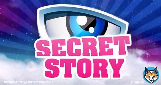 En exclusivit&eacute; voici le partage d'un logo de #SecretStory !   H&acirc;te de retrouver l'&eacute;mission bient&ocirc;t sur @TF1  ?