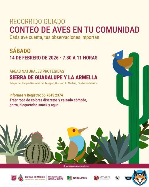 Participa en el recorrido guiado “Conteo de aves en tu comunidad” y conoce la biodiversidad que te rodea. La cita es en la Palapa del Parque Nacional del Tepeyac, el 14 de febrero, de 7:30 a 11 h. Informes y registro: 55 7845 2374. Te invitamos a seguir las recomendacionesShow more