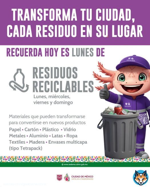 ¡Lunes de residuos reciclables y no reciclables! Entrega, por separado, los residuos que pueden convertirse en nuevos productos y aquellos que por su uso y características ya no pueden aprovecharse.