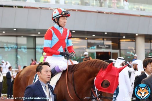 我らがジョッキーも強豪馬がひしめく  #ドバイゴールデンシャヒーン を #リメイク で日本馬最先着の5着！ 秋の飛躍に期待です！！ #武豊 #DubaiWorldCup