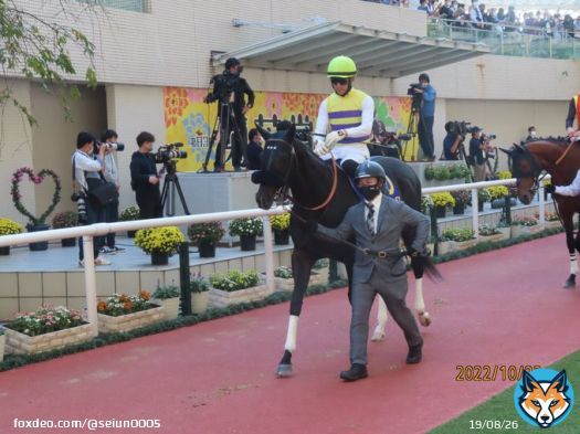 菊花賞セイウンハーデスは17着。 マイルG I並のハイペースの逃げで、直線バタバタ。 面白い競馬だったけど、結果が悪すぎ。 もう馬券を買ってくれた皆様、ごめんなさい。 ブリンカーが効きすぎでした。 次は作戦を考え直します。 許してくれる方、「いいね」ください。 わしは『いいね』大好きです。