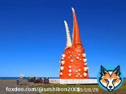 小林悠さま 明日の試合会場となります 札幌ドームはこちらです。 カニのオブジェが目印です。 #コンサドーレ #川崎フロンターレ #小林悠