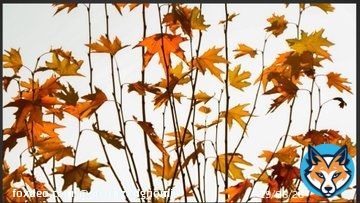 I collected this beautiful artwork by great artists @sepideh_hmiii Link: #ferrygraphic #nftmarketplace #nft_shill #nftcommunity #Objktcom #nfts #nftshills #Tezosnft #nftobject #nftartist #nftart