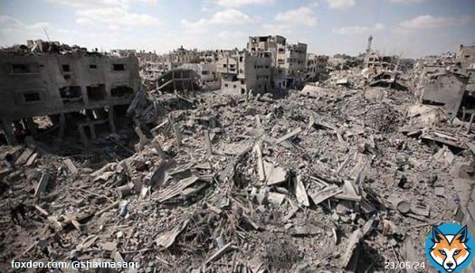 These pictures are not from the earthquake of Syria and Turkey. This is Palestine, the Gaza Strip in the 2014 war, and they are still steadfast on this land.