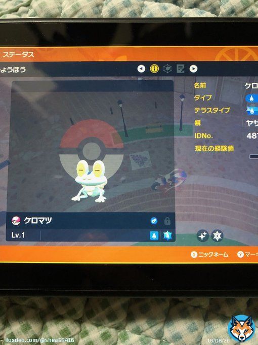出】ラブボ色ケロマツ卵 求】 未所持のオシャボ色複数匹 色証、こちらの希望するテラスタイプは高めに見ます オシャボ準伝  改造 個体値等確認させていただきます #ポケモン交換 #ポケモン交換SV