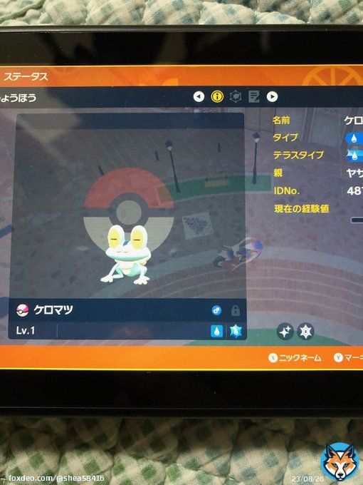 出】ラブボ色ケロマツ卵 求】 未所持のオシャボ色複数匹 色証、こちらの希望するテラスタイプは高めに見ます オシャボ準伝  改造 個体値等確認させていただきます #ポケモン交換 #ポケモン交換SV