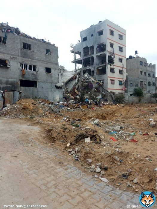 شاهد | وكالة شهاب ترصد آثار الدّمار الذي لحق بمنطقة مسجد بدر وشهداء الزيتون وبيارة مرتجى في حي الزيتون.