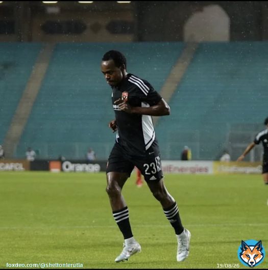The lion  #CAFCLFinal