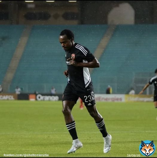 The lion  #CAFCLFinal