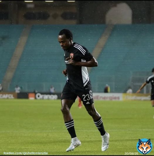 The lion  #CAFCLFinal