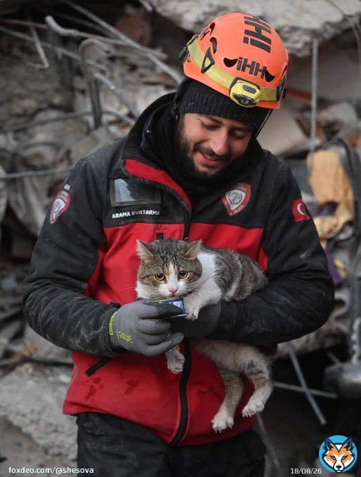Rescue of a cat after spending 5 days under the rubble in the earthquake in Turkey. #CatsOfTwitter #Caturday  #TurkeyQuake