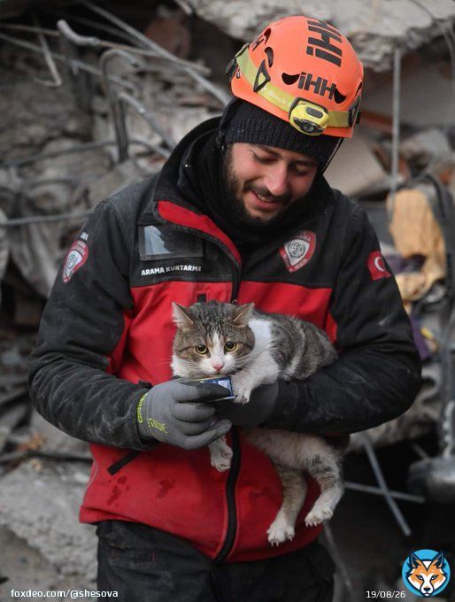 Rescue of a cat after spending 5 days under the rubble in the earthquake in Turkey. #CatsOfTwitter #Caturday  #TurkeyQuake