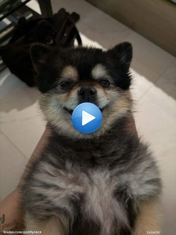 그래 가자