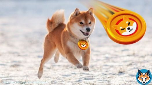 UPDATE: Shiba Inu's upcoming Shibarium debut could increase its value by attracting more users with cheaper fees.   #SHIB #SHIBARMY #Shibarium #bbcqt #Eurovision  #Crypto #BEN #Bitcoin #counteroffensive