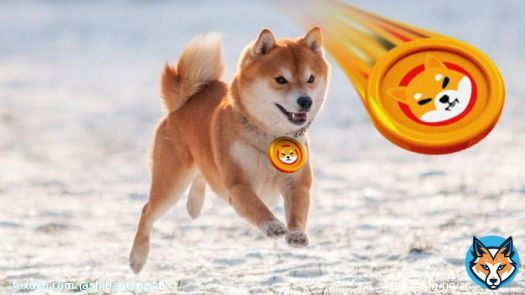 UPDATE: Shiba Inu's upcoming Shibarium debut could increase its value by attracting more users with cheaper fees.   #SHIB #SHIBARMY #Shibarium #bbcqt #Eurovision&nbsp; #Crypto #BEN #Bitcoin #counteroffensive