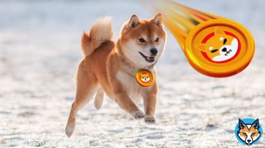 UPDATE: Shiba Inu's upcoming Shibarium debut could increase its value by attracting more users with cheaper fees.   #SHIB #SHIBARMY #Shibarium #bbcqt #Eurovision&nbsp; #Crypto #BEN #Bitcoin #counteroffensive