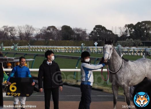 23/01/28 東京競馬場　10R クロッカスS  ヤクシマくん、1着( &bull; ̀&omega;&bull;́ )\u2727 おめでとうございます
