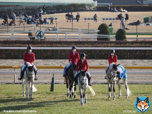 東京競馬場、ダイヤモンドS  今年もミライヘノツバサくんが前方誘導( &bull; ̀&omega;&bull;́ )\u2727