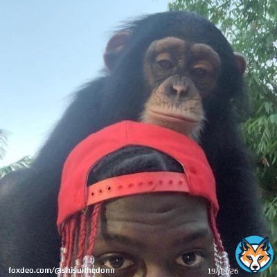 When did Lil Yachty get a Monkey?