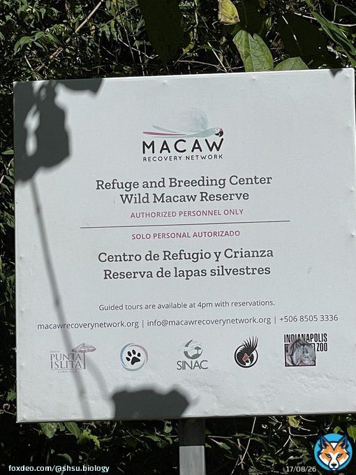 Biology department&rsquo;s John Pascarella and Amber Ulseth @RioFluss and @SHSUgeo Joe Hill spent the morning at the Macaw Recovery Network sanctuary to discuss #SHSU study abroad opportunities for our students.  Cheers to a Costa Rica course in the future!