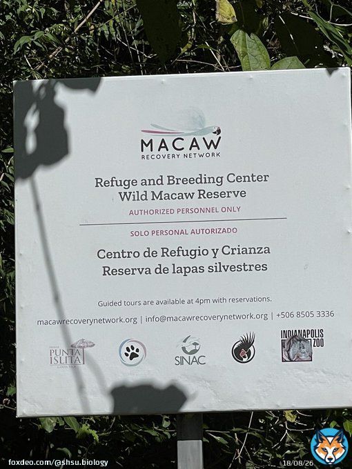 Biology department&rsquo;s John Pascarella and Amber Ulseth @RioFluss and @SHSUgeo Joe Hill spent the morning at the Macaw Recovery Network sanctuary to discuss #SHSU study abroad opportunities for our students.  Cheers to a Costa Rica course in the future!