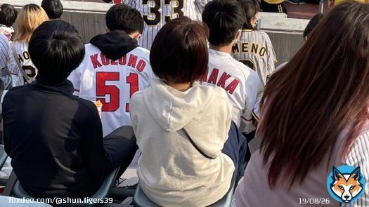 ビジパフォにおったらあかん色あんぞ 常識もクソもないんか 係員さん排除してください #広島カープ #マツダスタジアム #阪神タイガース #ダメでしょ