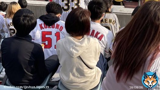 ビジパフォにおったらあかん色あんぞ 常識もクソもないんか 係員さん排除してください #広島カープ #マツダスタジアム #阪神タイガース #ダメでしょ