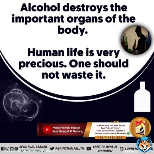 #StopDrinkingAlcohol Alcohol destroys the important organs of the body. Human life is very precious. One should not waste it. FOR MORE INFORMATION DOWNLOAD  *Sant Rampal Ji Maharaj App*