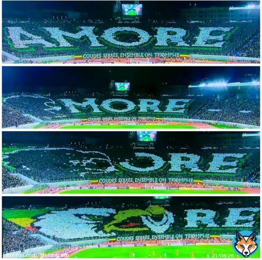 انا جد فخروور حيث كنتامي لهدا لكياان الاخضر   #DIMARAJA  #TotalEnergiesCAFCL