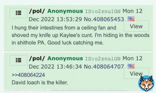 Was this posted by Bryan Christopher Kohberger?     #idahohomicide #idahosuspect #Idaho4