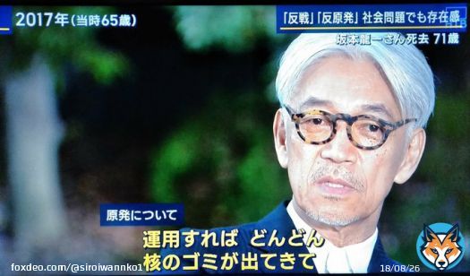 原発について 坂本龍一氏 「八方ふさがりですよね、運用すれば、どんどん核のゴミが出てきて、処理の仕方も、捨て場所も、ないわけですから、どうしたら良いんだろう、誰かが、どうしたら良いか、分かってやっているんなら聞きたいですけどね、聞いてみたいです」 #報道ステーション