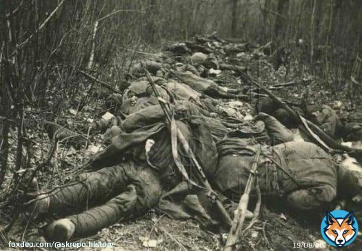 Советская Чернобаевка.  На этих фото&mdash;бойцы 2-й ударной армии Волховского фронта. В попытке прорваться к Ленинграду в январе 1942-го в заболоченных лесах армия выдохлась и остановилась. Но и далее в эти болота посылались новые и новые партии пушечного мяса.