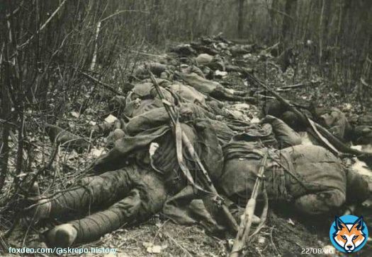 Советская Чернобаевка.  На этих фото&mdash;бойцы 2-й ударной армии Волховского фронта. В попытке прорваться к Ленинграду в январе 1942-го в заболоченных лесах армия выдохлась и остановилась. Но и далее в эти болота посылались новые и новые партии пушечного мяса.