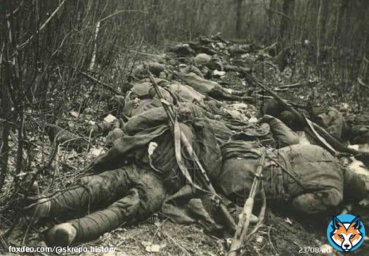 Советская Чернобаевка.  На этих фото&mdash;бойцы 2-й ударной армии Волховского фронта. В попытке прорваться к Ленинграду в январе 1942-го в заболоченных лесах армия выдохлась и остановилась. Но и далее в эти болота посылались новые и новые партии пушечного мяса.