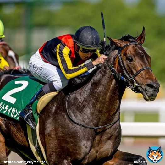 .@LaneDamian and Weltreisende reunite in the Japan Cup on Sunday!    #JRA #競馬 #騎手 #ヴェルトライゼンデ