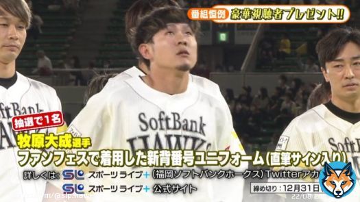 激レア！ 毎月恒例 #鷹のミカタ 12月の視聴者プレゼントはなんと‥ ／ #牧原大成 選手が 'ファンフェスで着用していた'新背番号 ユニフォーム直筆サイン入り！！ ＼  フォロー＆RTで当選確率アップ 応募はこちらから\u25b6\ufe0e  締切: 12/31(土)#sbhawks