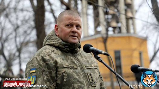 Залужний: &laquo;Будь ласка, не кажіть що Христос воскрес. Дочекайтесь офіційної інформації від Генштабу&raquo;