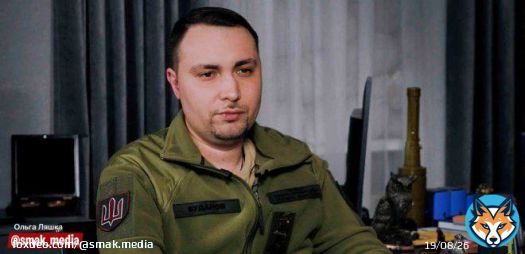 Кирило Буданов заперечив причетність України до нападу акули на російського туриста в Хургаді 'Наші акули гівно не їдять' — заявив голова розвідки