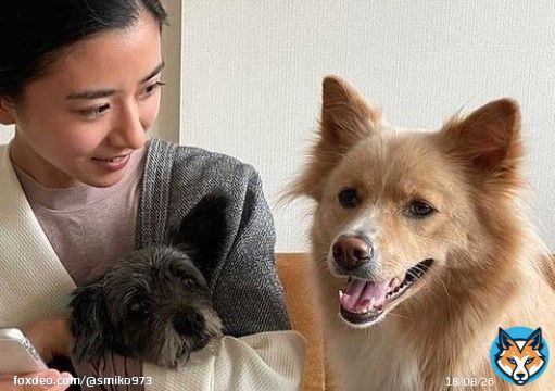 可愛すぎー\u2762   #黒島結菜　#クロサギ  #ちむどんどん #保護犬　#保護犬を家族に #犬好きさんと繋がりたい  #犬のいる暮らし