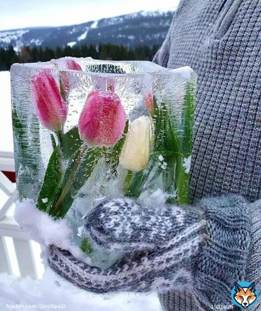 Весна подарит много счастья, света, Минут волшебной, чистой красоты, Украсят каждый день, как праздник этот,  Тепло и нежность, радость и цветы.