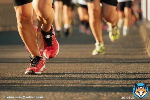 創価大学をシード権常連校にしたいってゆうのを掲げてきたので、それが今、すぐそこまでその目標達成っていうのが迫っているので、そこをしっかり最後まで責任をもって自分の目標を達成できたらいいなと思います。 (嶋津雄大)  #箱根駅伝2023 #創価大学 #創姿顕心 #強さの証明 #獅子奮迅