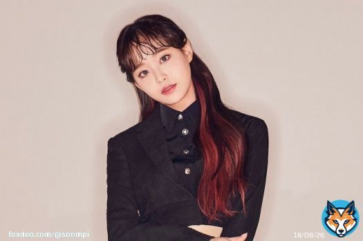 BREAKING: #LOONA's Agency Announces #Chuu's Removal From Group