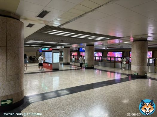 Train station in Beijing vs. train station in NYC from my own eyes.