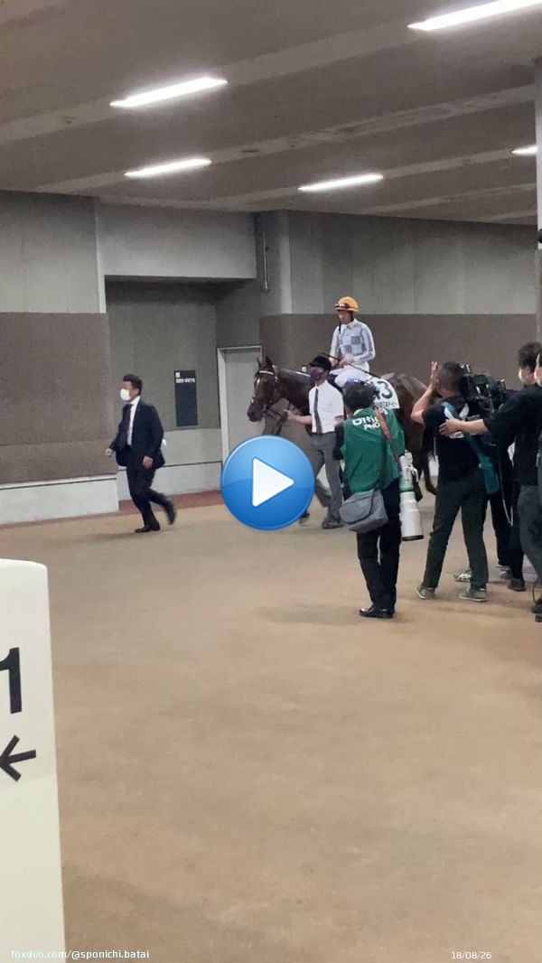 世代で一番強い馬。 ダービー馬。 今年はドウデュースでした  #武豊 騎手はダービー6勝目 #日本ダービー