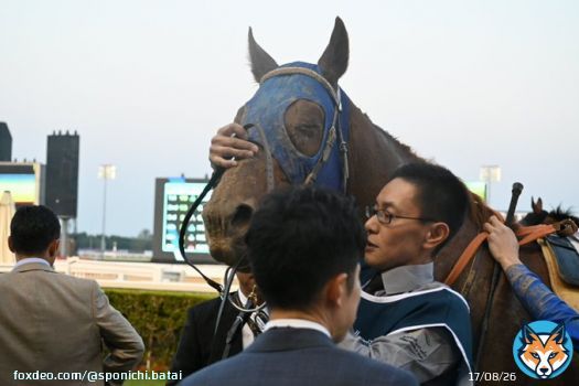 レモンポップ、お疲れ様でした。  田中博師「想像以上に厳しかった。これを糧に、さらに強いレモンポップになって戻れるようにやっていきたい」  今後は休養の予定です。 #ドバイゴールデンシャヒーン