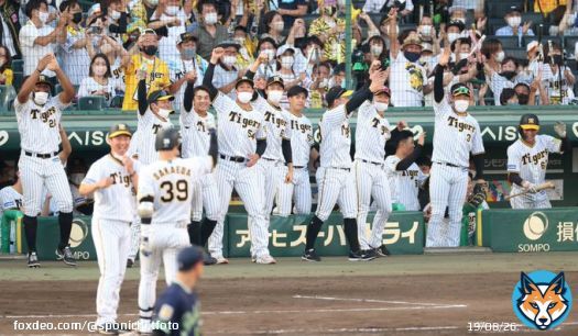 ９回、#栄枝裕貴 捕手の同点の適時打に湧く阪神ナイン